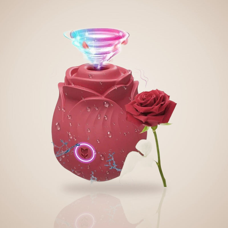 Idée cadeau de Noël : stimulateur rose Rosa